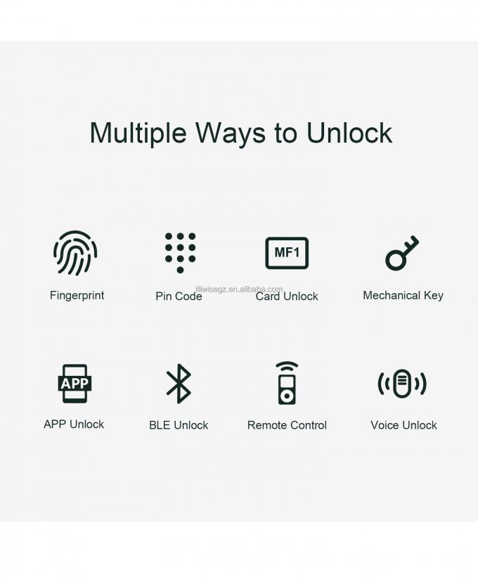 LILIWISE High Quality Manufacturer Smart Lock 2025 Tuya Wifi BLE Waterproof TTLOCK Slim Smart Door Lock 2
