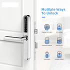 Da impressão digital Ultrathin esperta de alumínio de Bluetooth da fechadura da porta da porta deslizante do balanço chave mecânica