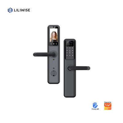 Fechadura de porta inteligente com impressão digital WiFi Bluetooth para portas de aço de madeira