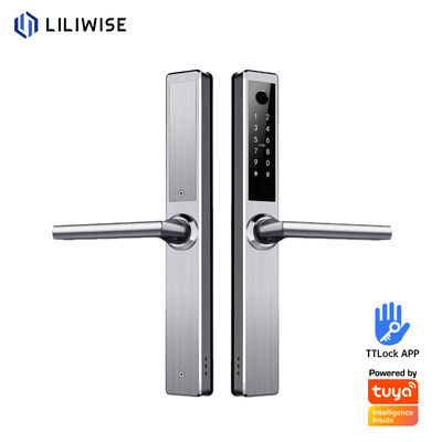 Liliwise aço inoxidável fechadura inteligente à prova d'água Tuya Ttlock Wifi fechadura de porta inteligente sem chave com Api