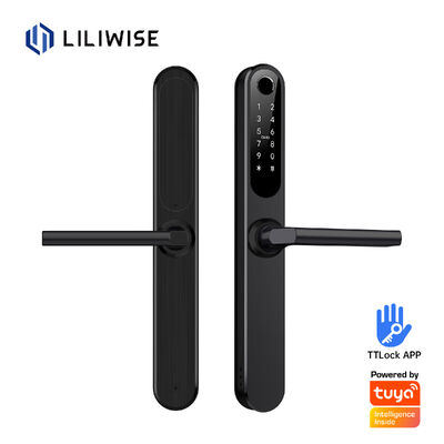 Liliwise Impermeável Alexa Alumínio Aço Ip66 Smart Door Lock Impressão digital Cerradura Electronica Ttlock Smart Lock Com Wifi